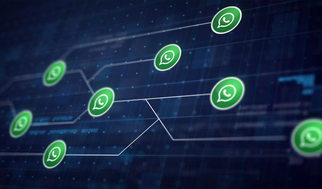 Cómo usar whatsapp business en el sector inmobiliario